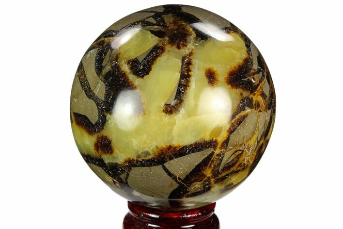 Polished Septarian Sphere - Madagascar #122922